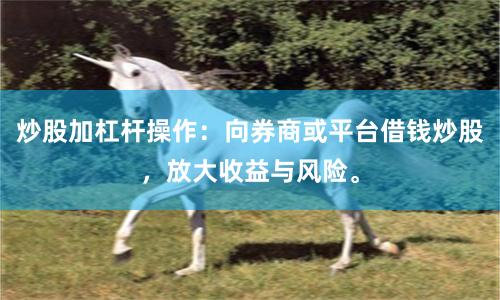 炒股加杠杆操作：向券商或平台借钱炒股，放大收益与风险。